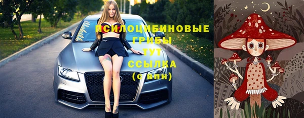 винт Михайловка